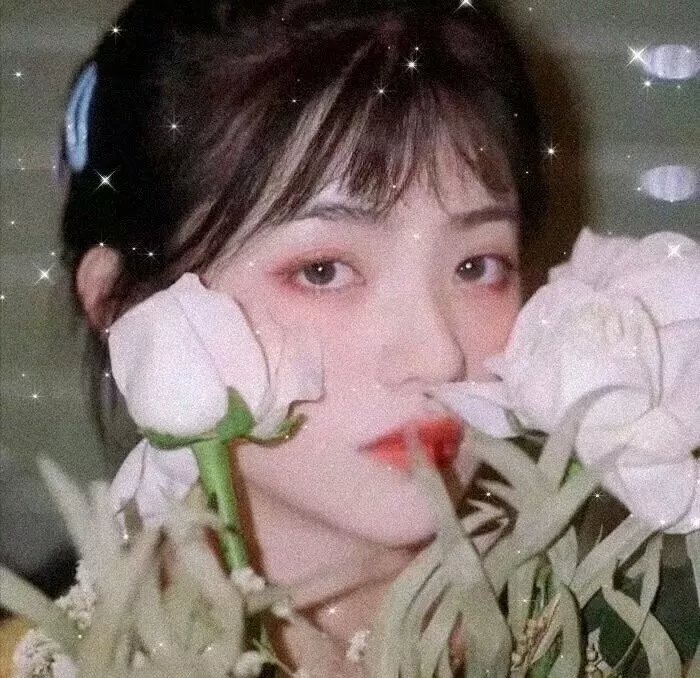 爱情理论特别篇